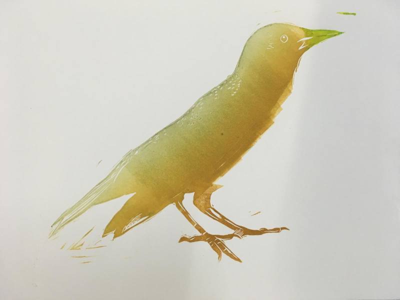 Georgia Bird Iridescent Layer